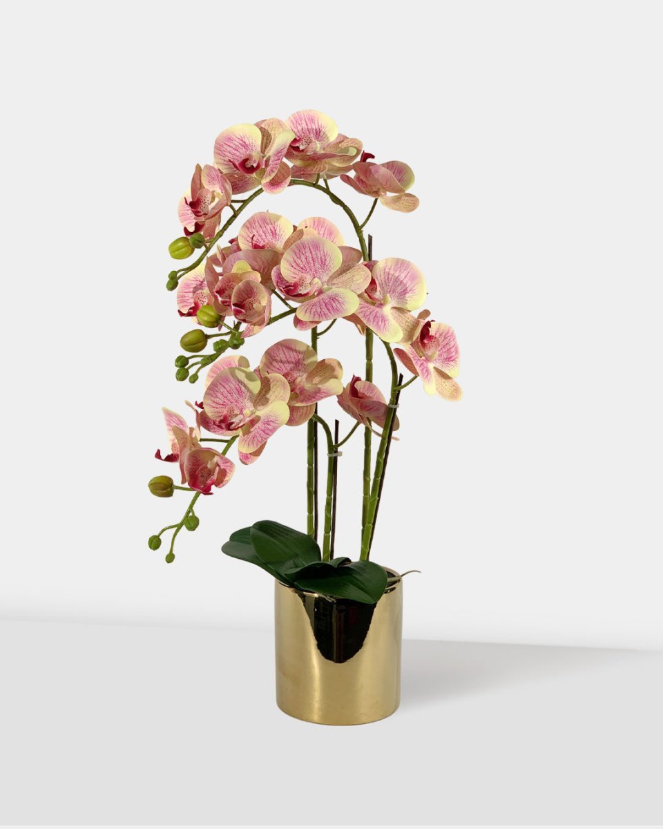 Artificial Crown Phalaenopsis (Life - like Artificial) - Plant Arrangement - coral - Preserved Flowers & Fresh Flower Florist Gift Store