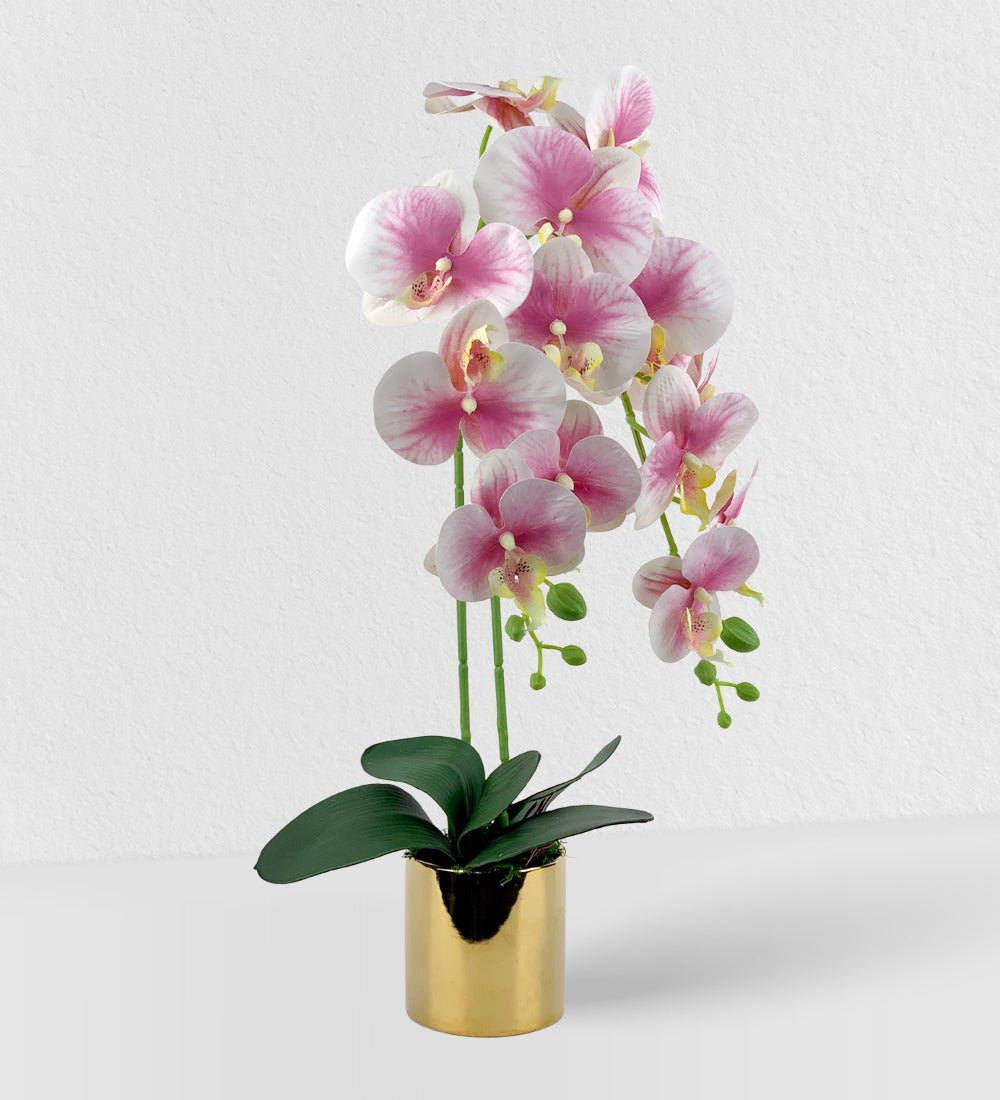 Artificial Crown Phalaenopsis (Life - like Artificial) - Plant Arrangement - pink - Preserved Flowers & Fresh Flower Florist Gift Store