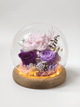 Carnation Blowball - Purple - Flowers - Preserved Flowers & Fresh Flower Florist Gift Store