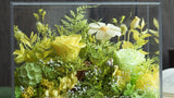Enchanted Preserved Flower Box - Flowers - Greens - Preserved Flowers & Fresh Flower Florist Gift Store