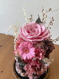 Gardenia Bell Dome - Flowers - Cherry Blossom Pink - Preserved Flowers & Fresh Flower Florist Gift Store