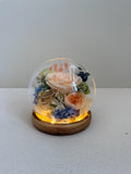 Rose Blowball - Champagne - Flowers - Preserved Flowers & Fresh Flower Florist Gift Store