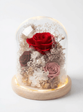 Sora Preserved Flower Dome - Flowers - Red - Preserved Flowers & Fresh Flower Florist Gift Store