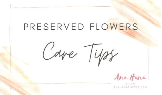 Caring for Your Preserved Flowers - Ana Hana Flower