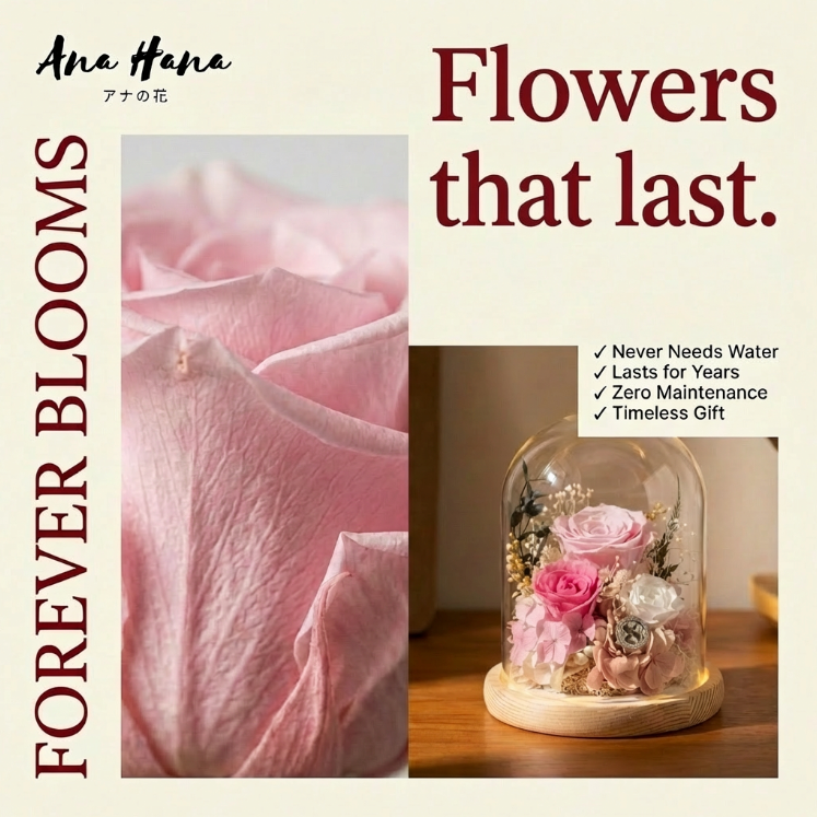 Sora Preserved Flower Dome