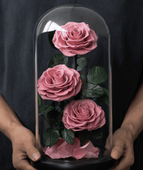 3 Rose - Single Preserved Rose - Preserved Flower Dome - Flowers - red - Preserved Flowers & Fresh Flower Florist Gift Store