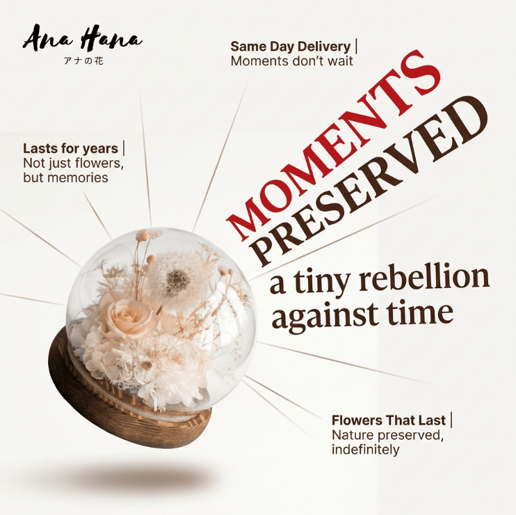 Dandelion Daphne Blowball - Flowers - Champagne - Preserved Flowers & Fresh Flower Florist Gift Store