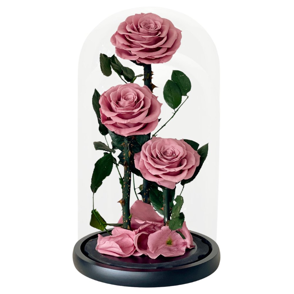 Rosie Pink - Flower - Preserved Flowers & Fresh Flower Florist Gift Store