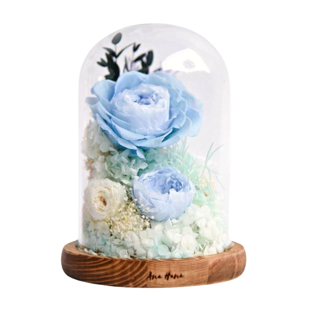 Aurora Flower Dome - Flower - Blue - Preserved Flowers & Fresh Flower Florist Gift Store