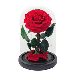 1 Rose - Red Single Preserved Rose - Preserved Flower Dome - Flower - Preserved Flowers & Fresh Flower Florist Gift Store