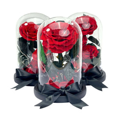 1 Rose - Red Single Preserved Rose - Preserved Flower Dome - Flower - Preserved Flowers & Fresh Flower Florist Gift Store