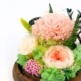 Carnation Blowball - Garden Pink (with gift box) - Flower - Preserved Flowers & Fresh Flower Florist Gift Store