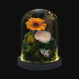 Daisy Dome - Gerbera Orange - Flower - Preserved Flowers & Fresh Flower Florist Gift Store