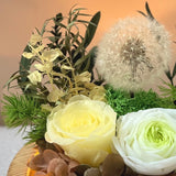 Dandelion Blowball Preserved Flower Dome - Champagne - Flower - Preserved Flowers & Fresh Flower Florist Gift Store