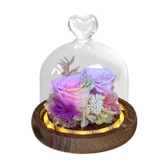Haruhi - Rainbow - Flower - Preserved Flowers & Fresh Flower Florist Gift Store