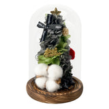 Jolly Christmas Tree Dome - - Preserved Flowers & Fresh Flower Florist Gift Store