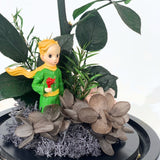 Little Prince, Pink Rose - Flower - Preserved Flowers & Fresh Flower Florist Gift Store